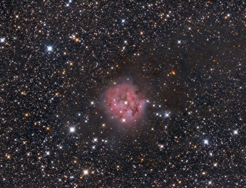 IC5146 – Cocoon maglica